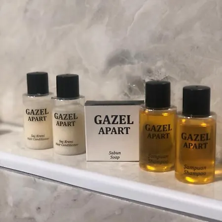 Gazel Downtown 2* Istanbul