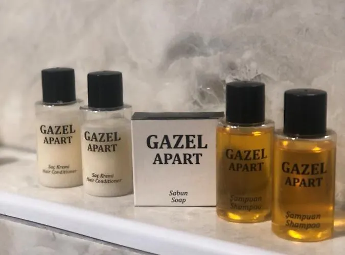 Gazel Downtown 2* 이스탄불